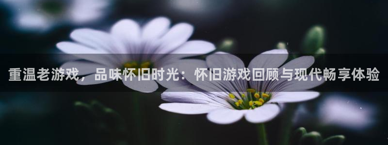 蓝冠娱乐官网：重温老游戏，品味怀旧时光：怀旧游戏回顾与现代畅