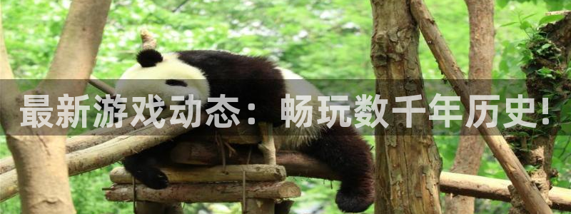 手机蓝冠娱乐下载安装：最新游戏动态：畅玩数千年历史!