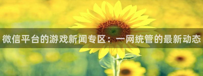 蓝冠娱乐平台注册：微信平台的游戏新闻专区：一网统管的最新动态