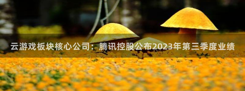 蓝冠娱乐网址官网：云游戏板块核心公司：腾讯控股公布2023年
