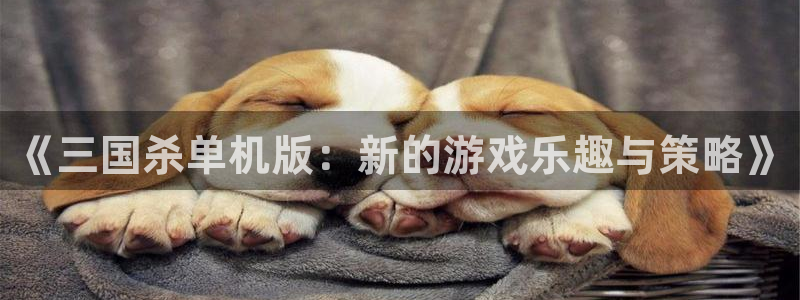 蓝冠娱乐娱乐是真的吗：《三国杀单机版：新的游戏乐趣与策略》