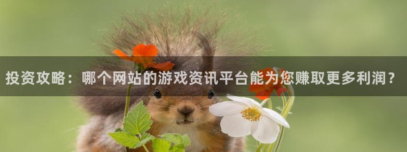 蓝冠娱乐：投资攻略：哪个网站的游戏资讯平台能为您赚取更多利润