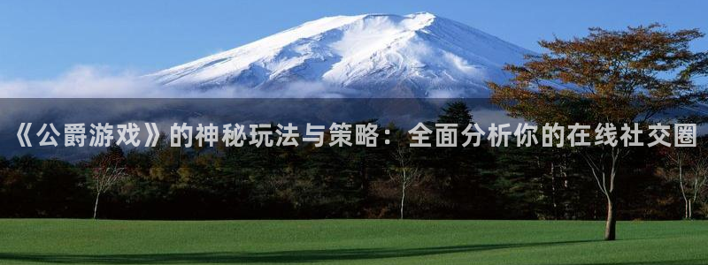 蓝冠娱乐4招商：《公爵游戏》的神秘玩法与策略：全面分析你的在