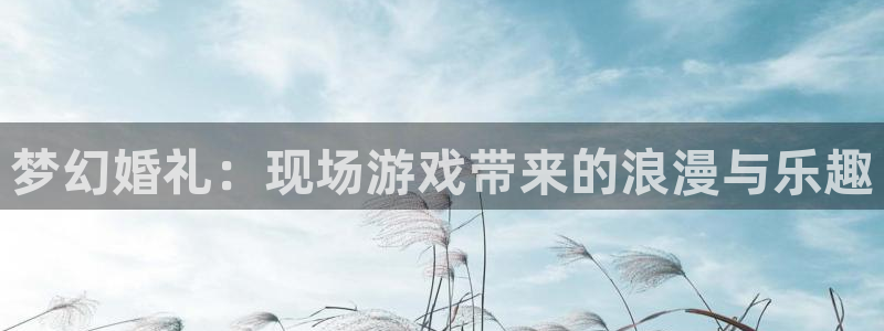 蓝冠娱乐官网登录：梦幻婚礼：现场游戏带来的浪漫与乐趣