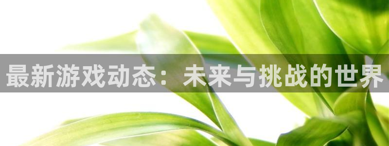 蓝冠娱乐网址官网：最新游戏动态：未来与挑战的世界