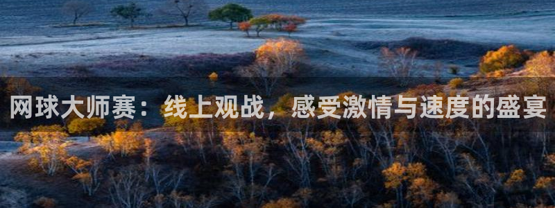 劲爆体育节目直播：网球大师赛：线上观战，感受激情与速度的盛宴