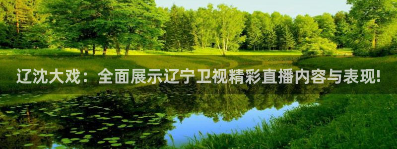 劲爆体育直播在线观看斗地主：辽沈大戏：全面展示辽宁卫视精彩直播内容与表现!