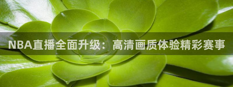 劲爆体育直播免费观看cba：NBA直播全面升级：高清画质体验精彩赛事