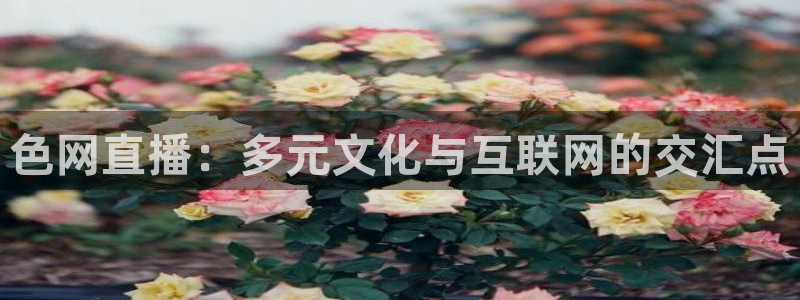 劲爆体育免费直播：色网直播：多元文化与互联网的交汇点