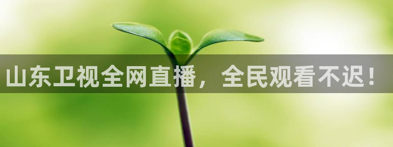 劲爆体育直播免费看