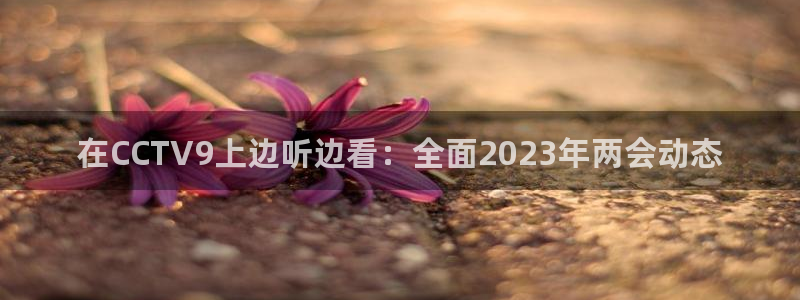 劲爆体育直播免费观看直播间：在CCTV9上边听边看：全面2023年两会动态
