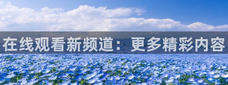 劲爆体育高清直播：在线观看新频道：更多精彩内容